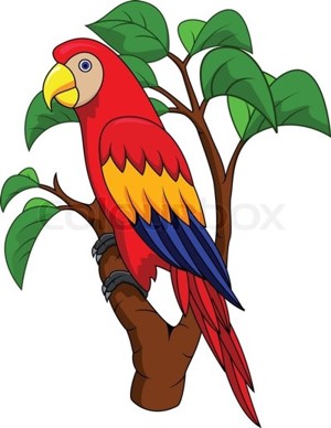 cartoon-parrot-drawing-57.jpg