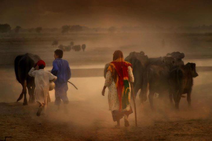 villages-of-punjab-pakistan-80.jpg